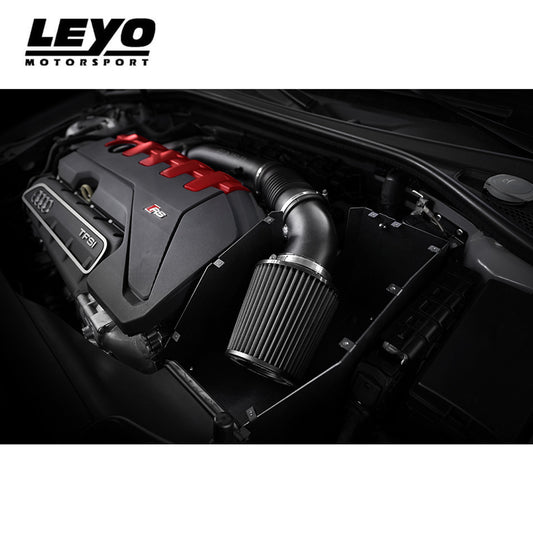 Leyo Motorsport Cold Air Intake Kit - Audi RS3 8V1